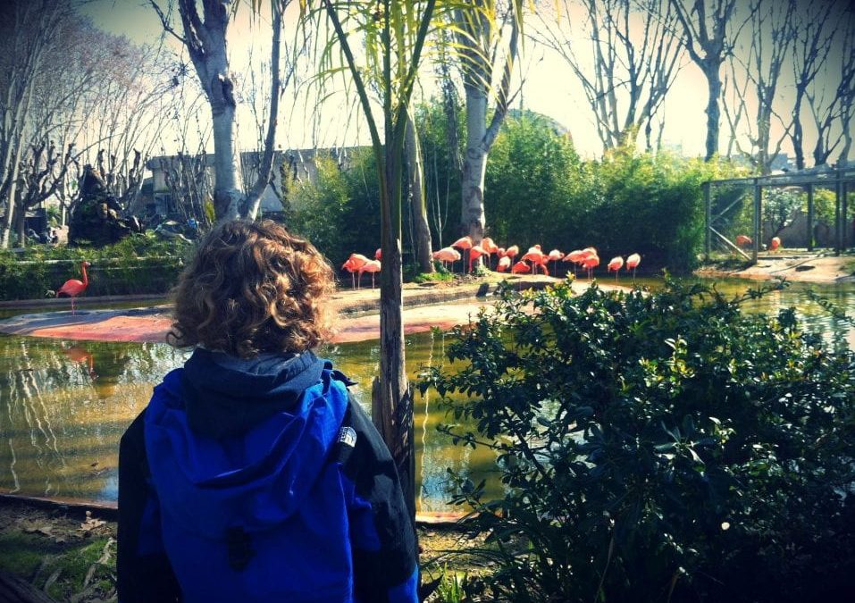 Barcelona Zoo for a fun family day out