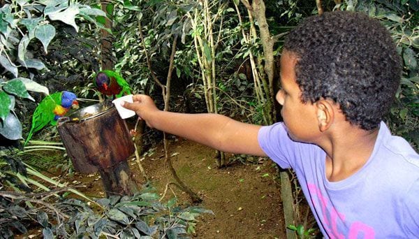 Butterfly park for kids