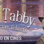 El Gat Tabby-CAPÇALERA-1500X500px_ESP