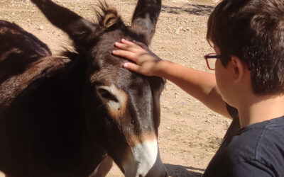 Un día en familia en el Santuario Animal Món La Bassa