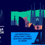 ” durant la final de la Copa Amèrica