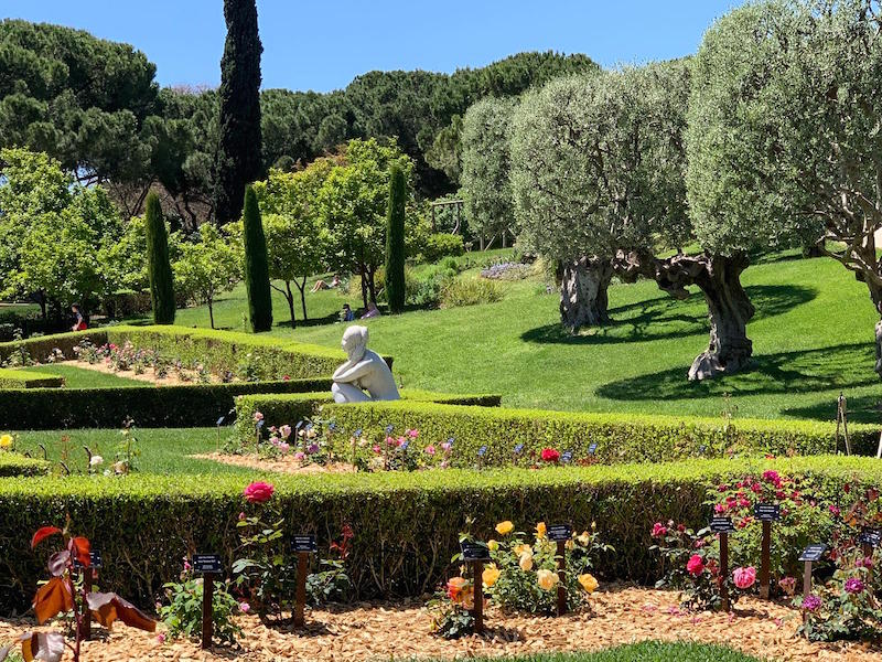 Parc Cervantes. Un mar de roses. (Ruta en bici IV)